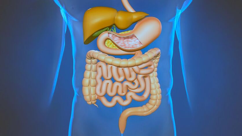 Diseases of the digestive system - the cause of pain under the shoulder blades